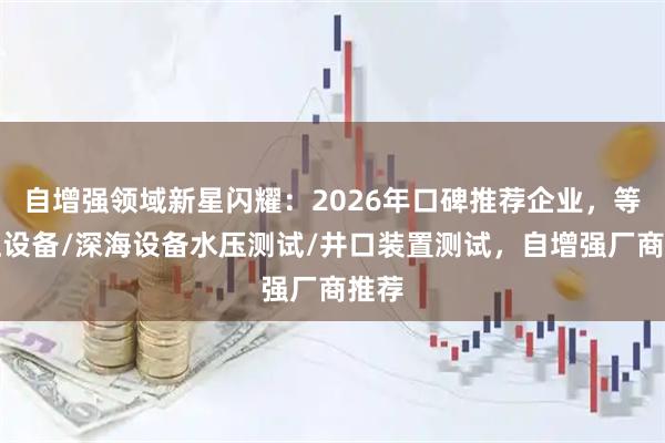 自增强领域新星闪耀：2026年口碑推荐企业，等静压设备/深海设备水压测试/井口装置测试，自增强厂商推荐